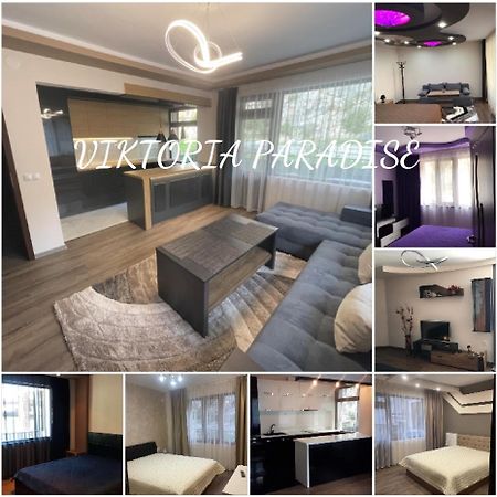 Viktoria Paradise ديفين المظهر الخارجي الصورة