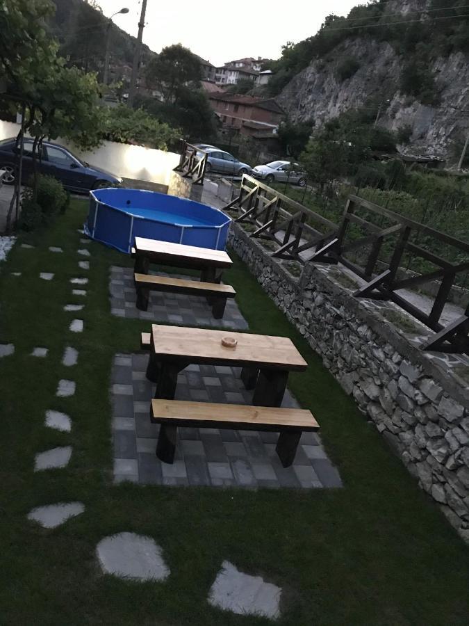 Viktoria Paradise ديفين المظهر الخارجي الصورة
