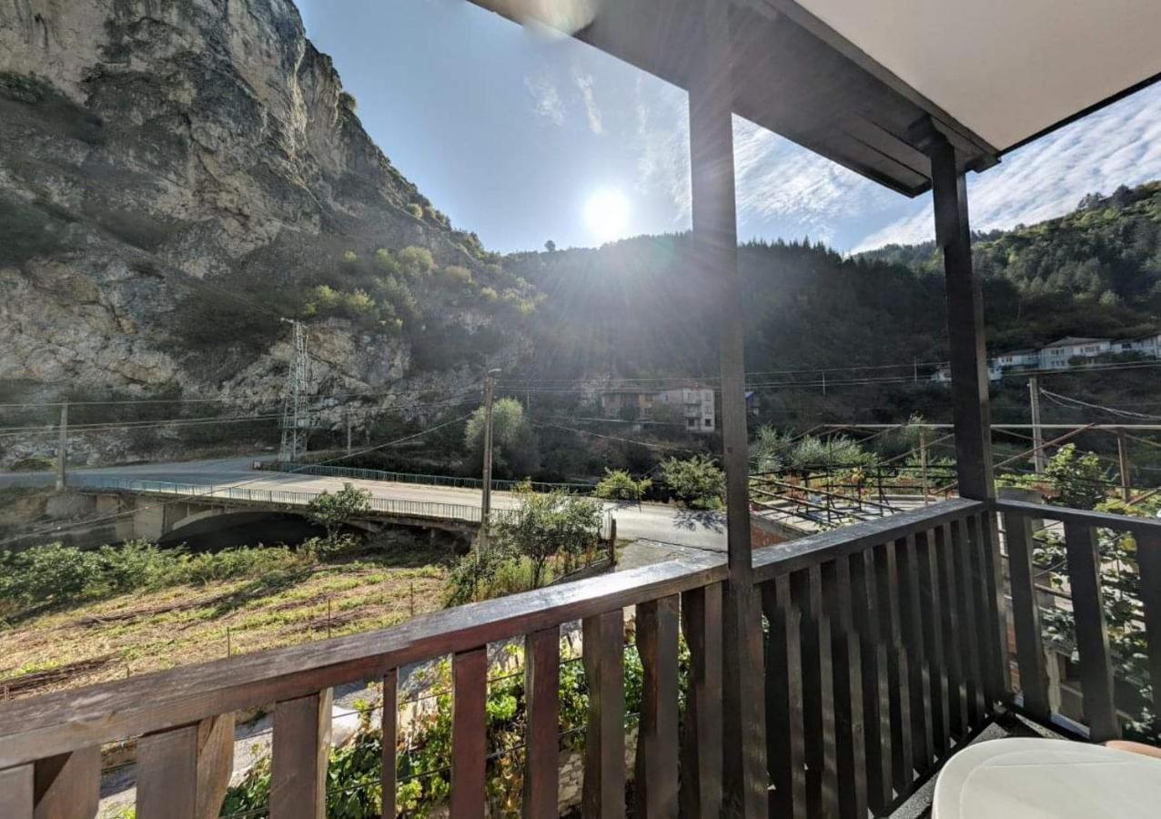 Viktoria Paradise ديفين المظهر الخارجي الصورة